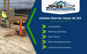 Common Roofing Issues Infographic